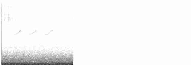 Улит-отшельник - ML619281252