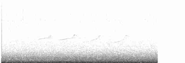 Spotted Sandpiper - ML619281263