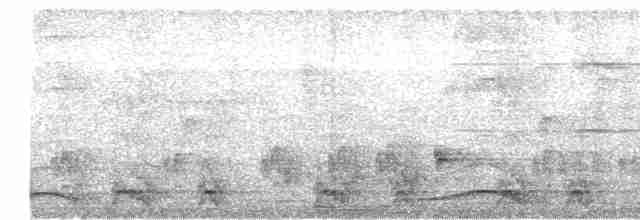 Сичик-горобець індійський - ML619281473