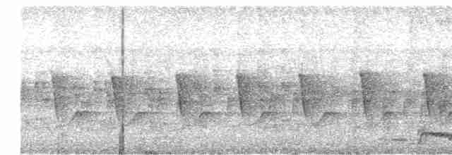 Hint Yazılı Serçe Baykuşu - ML619281474