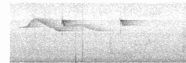 Сичик-горобець індійський - ML619281478