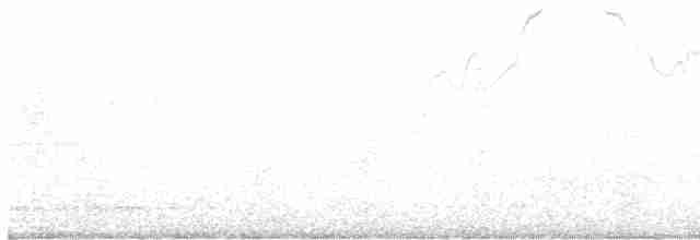 Lavandera India - ML619281484