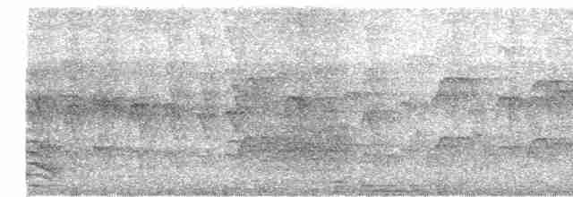 Cratérope de brousse - ML619281586
