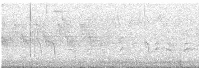 Шишкар ялиновий - ML619281881