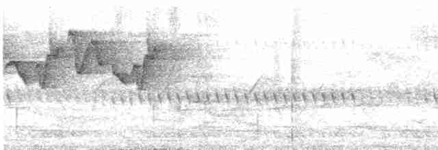 Скриточуб смугоголовий - ML619282025
