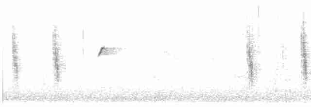דוחל שחור-גרון - ML619282303