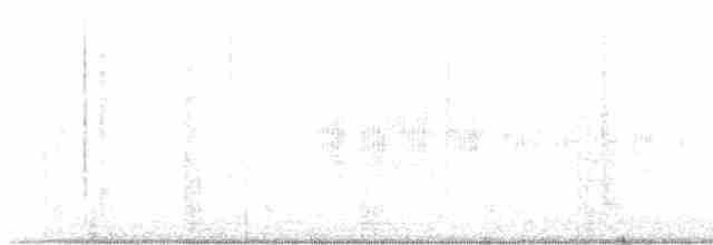 Uferschwalbe - ML619282324