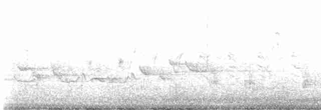 Great Reed Warbler - ML619282325