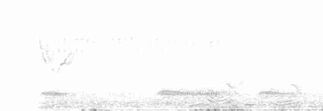 Тремблер прямодзьобий - ML619282398