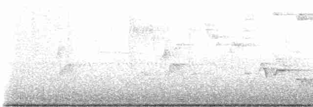 Дрізд-короткодзьоб Cвенсона - ML619282468