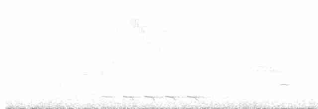 Black-billed Cuckoo - ML619282721