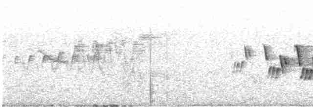 svartbrystparula - ML619283029