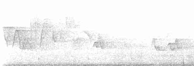 Трясогузковый певун - ML619283199