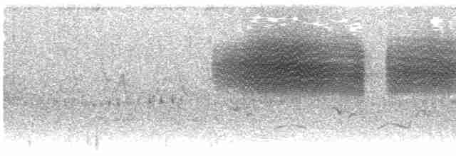 Карнатка бліда - ML619283461