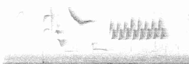 Bewick Çıtkuşu - ML619283677
