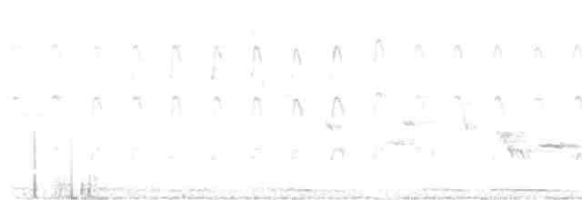 strakapoud velký - ML619283682