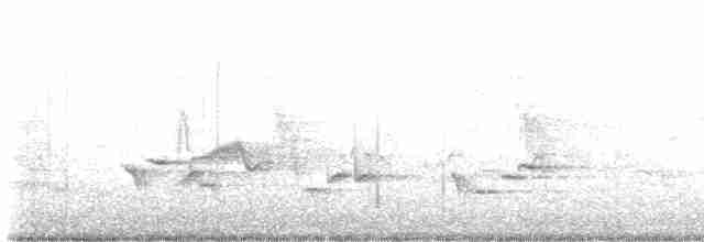 Черногорлая хвойница - ML619283866