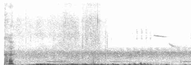 Blyth's Reed Warbler - ML619284524