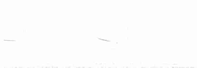 Paruline à croupion jaune - ML619284703