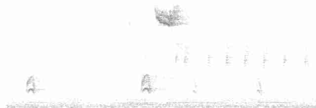 גיבתונית לבנת-גרון - ML619284934