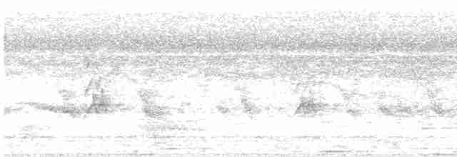 svarthodelarveeter - ML619285007