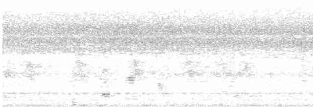 svarthodelarveeter - ML619285008
