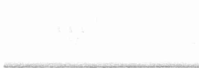 גיבתונית לבנת-גרון - ML619285042