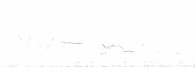 Münzevi Bülbül Ardıcı - ML619285133