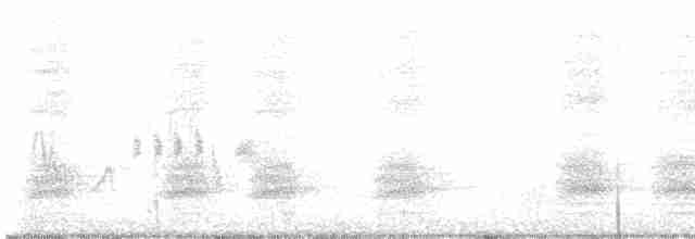 Göknar Kargası - ML619285324