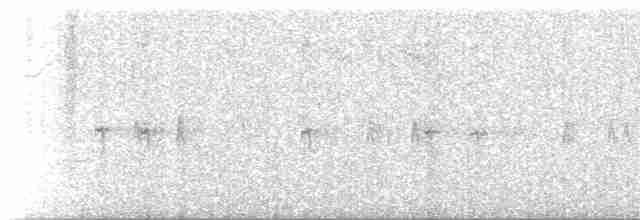 キヅタアメリカムシクイ（coronata） - ML619285459