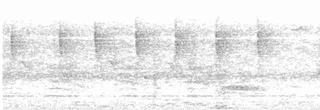 Alción de Esmirna - ML619285530