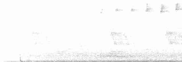 Paruline rayée - ML619285655