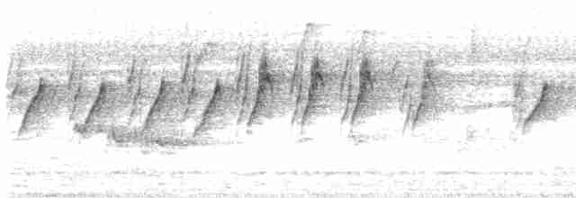 Атласная нектарница - ML619285879