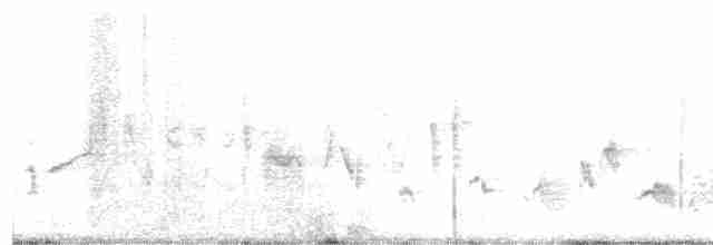 Gartengrasmücke - ML619285936