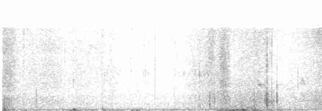 Красноплечий канюк - ML619286008
