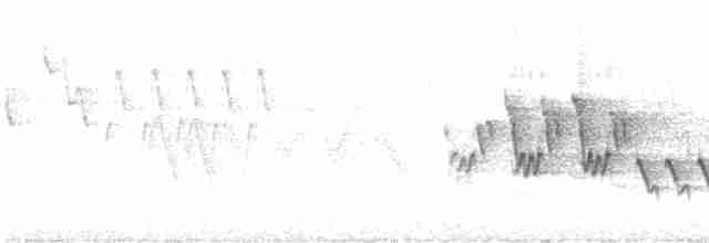 svartbrystparula - ML619286114