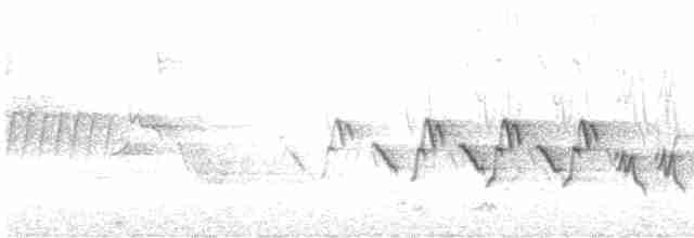 Черногорлая хвойница - ML619286120