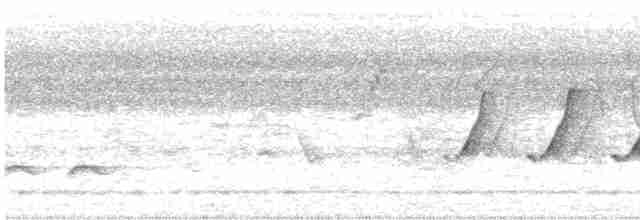 langhaleskredderfugl - ML619286170