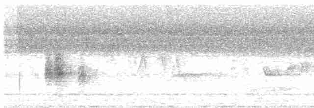 svarthodelarveeter - ML619286211