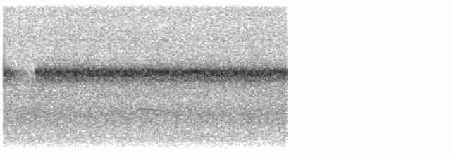 Дрізд-короткодзьоб плямистоволий - ML619286301