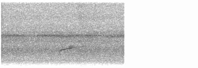 Дрізд-короткодзьоб Cвенсона - ML619286319