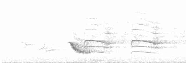 Дрізд-короткодзьоб бурий - ML619286336