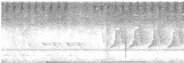 Каролинский крапивник - ML619286485