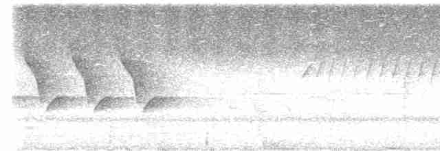 Каролинский крапивник - ML619286521