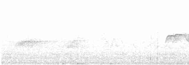 Sarı Karınlı Sinekkapan - ML619286567