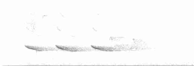 Mésange bicolore - ML619287449