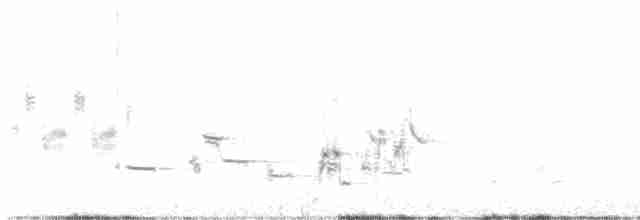 Карнатка лучна - ML619287652