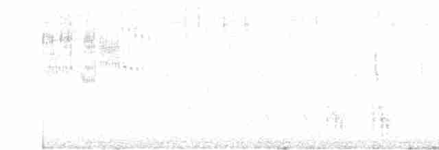 Great Reed Warbler - ML619287957