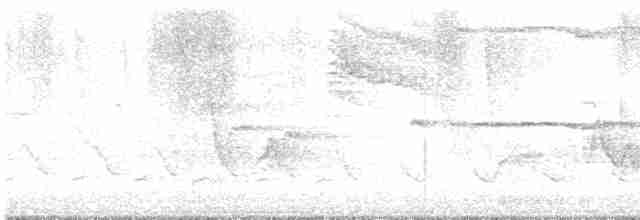 Ширококрылый канюк - ML619288186