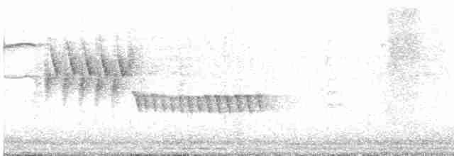 Troglodyte de Bewick - ML619288483